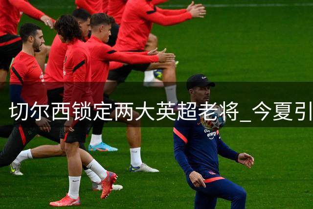 切尔西锁定两大英超老将 今夏引援策略转向"即战力优先